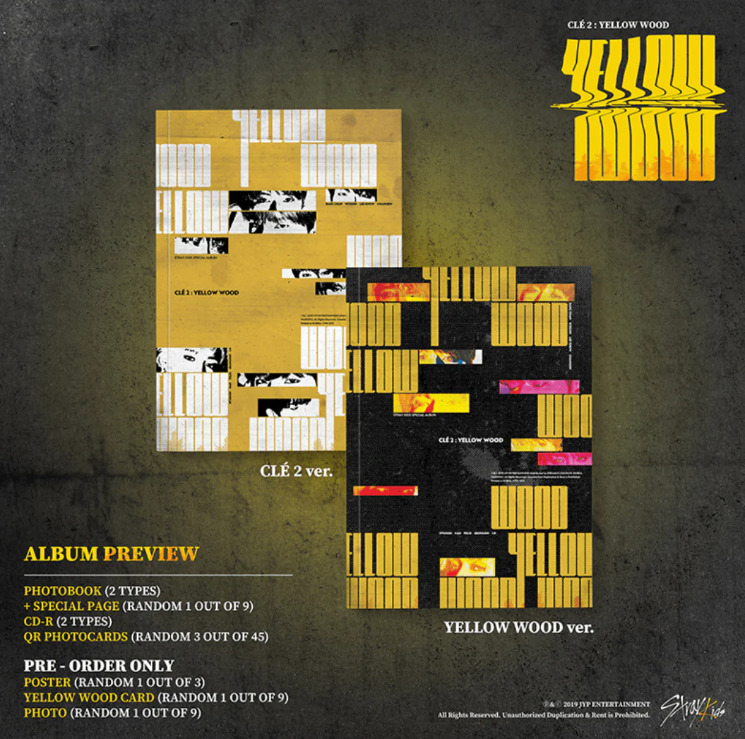 STRAY KIDS - SPECIAL ALBUM - CLE 2 : YELLOW WOOD [NORMAL VER.] - Image 2